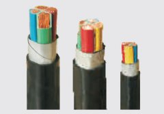 交聯(lián)聚乙烯絕緣聚氯乙烯護(hù)套電力電纜